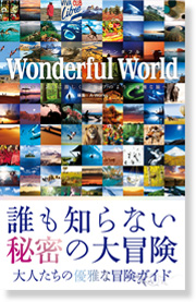 Wonderful World