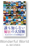 Wonderful World